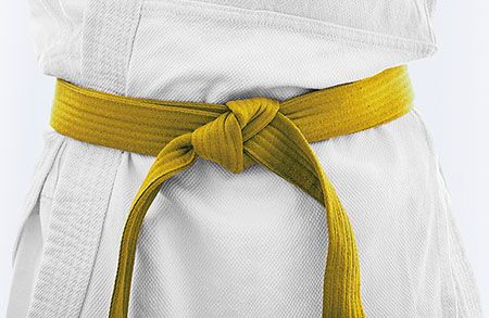 Lean Six Sigma - Yellow Belt
